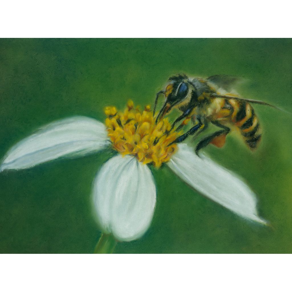 Pastels painting of bee