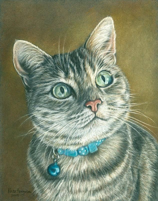 Coloured pencil cat portrait