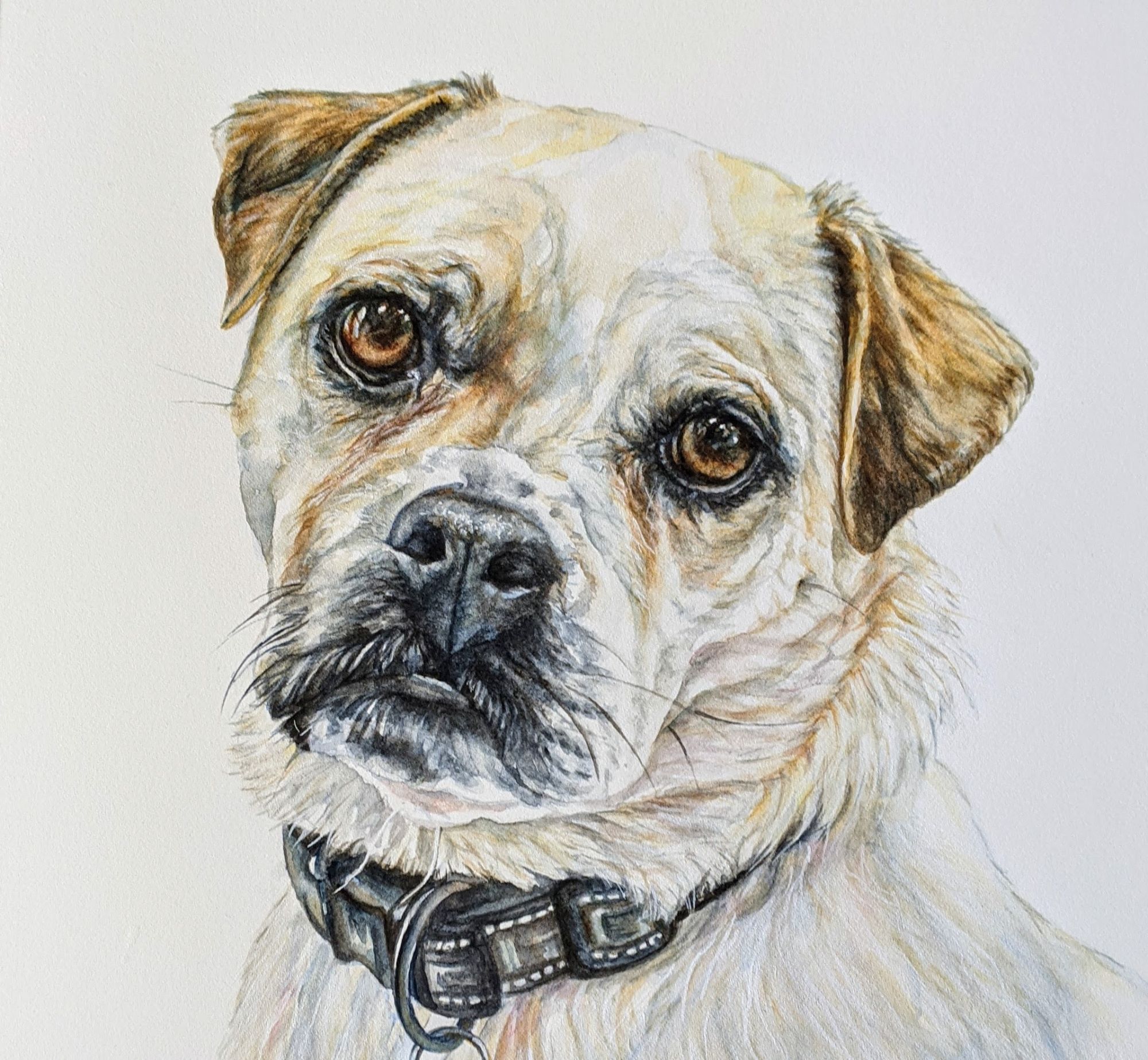 Watercolour pet portrait