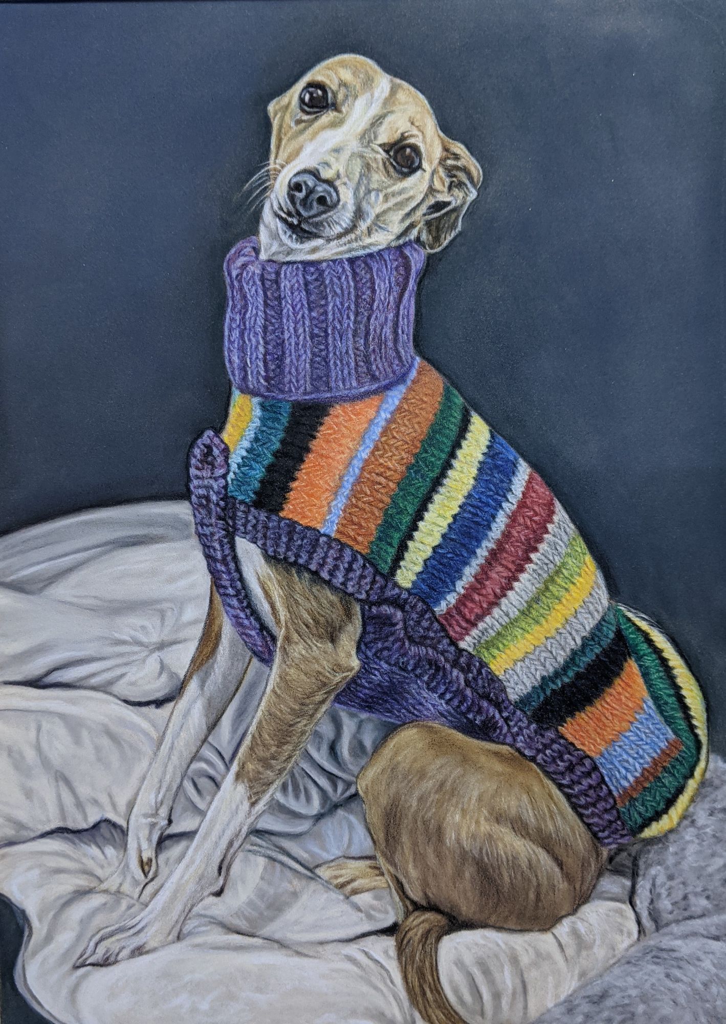 Coloured pencil dog portrait