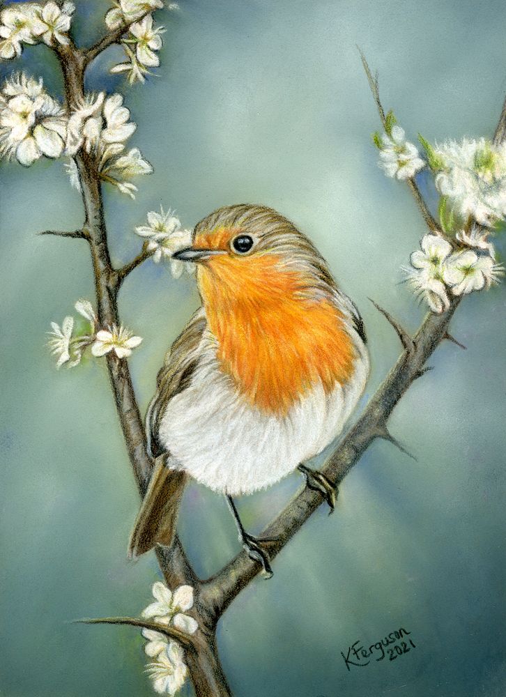 Robin painting
