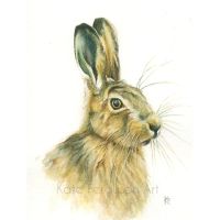 <!--010--><B>Little Hare</b> - watercolour painting