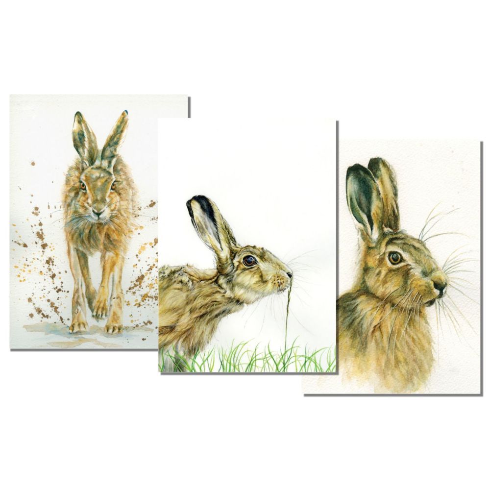 Pack of 3 cards - HARES