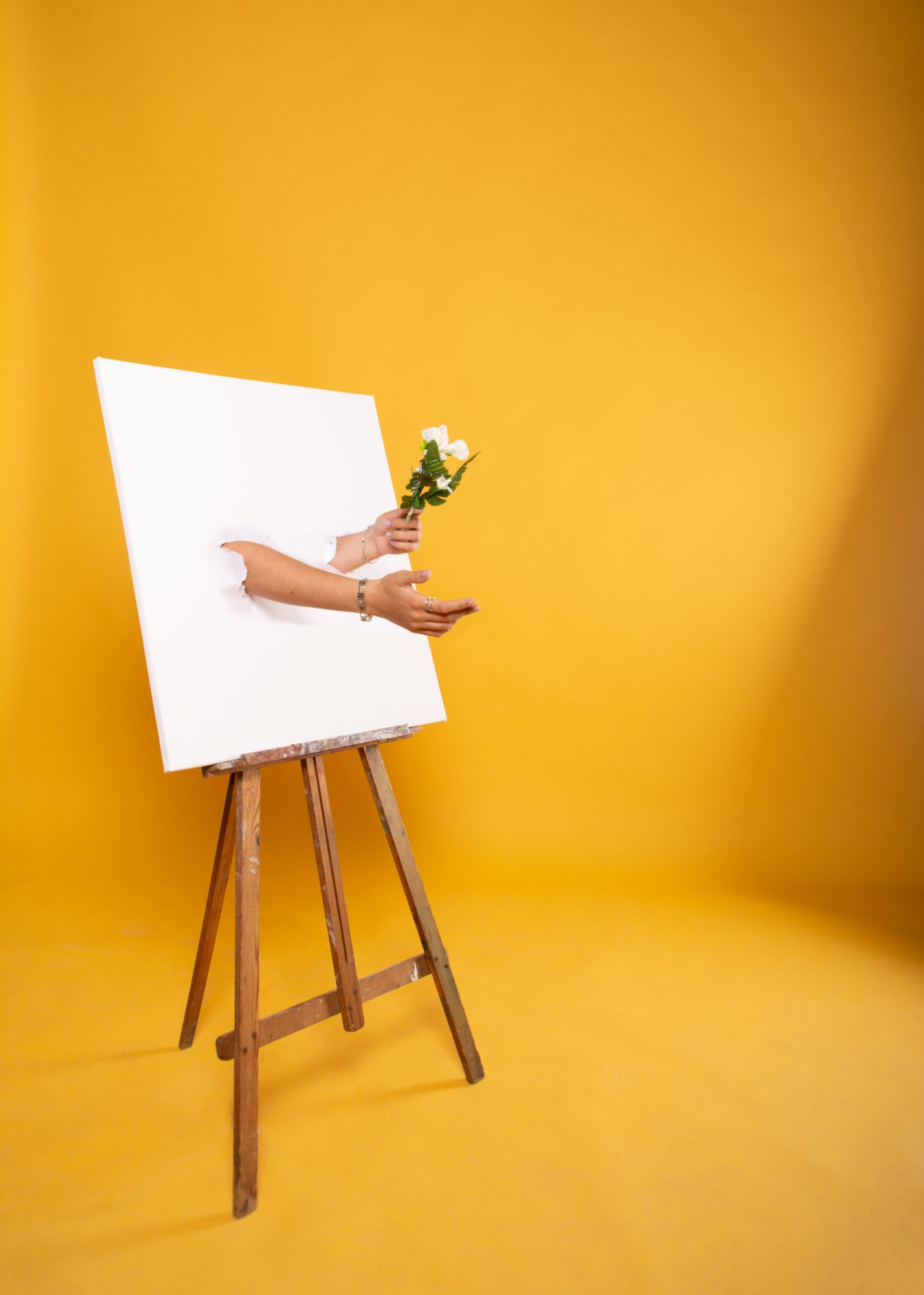 Blank canvas