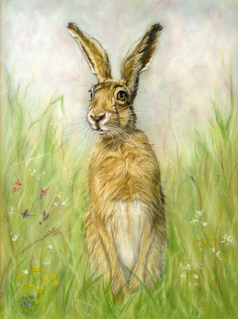 Whimsical hare print