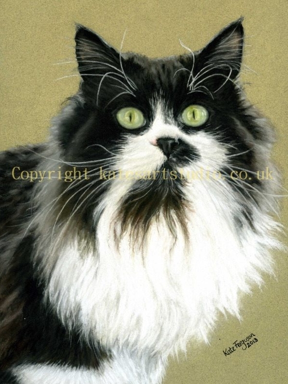 Pastels cat portrait