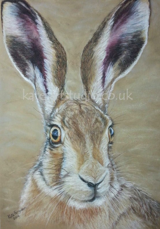 Hare in pastels