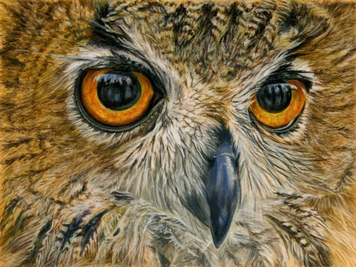Eagle owl painting