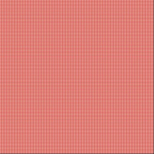 Riley Blake Fabric ~ Lucky Star ~ Gingham Red