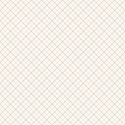 Riley Blake Fabric ~ Bee Backgrounds ~ Grid Orange