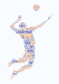 Volleyball Print - Coloured on White