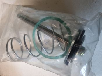 Repair Kit For Hoffman New Yorker Vacuum Valve 11/4