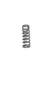 Head Valve Spring