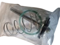 Repair Kit For Hoffman New Yorker Vacuum Valve 11/4