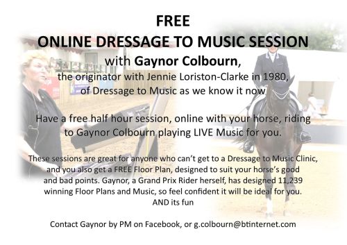 30 minute free online session
