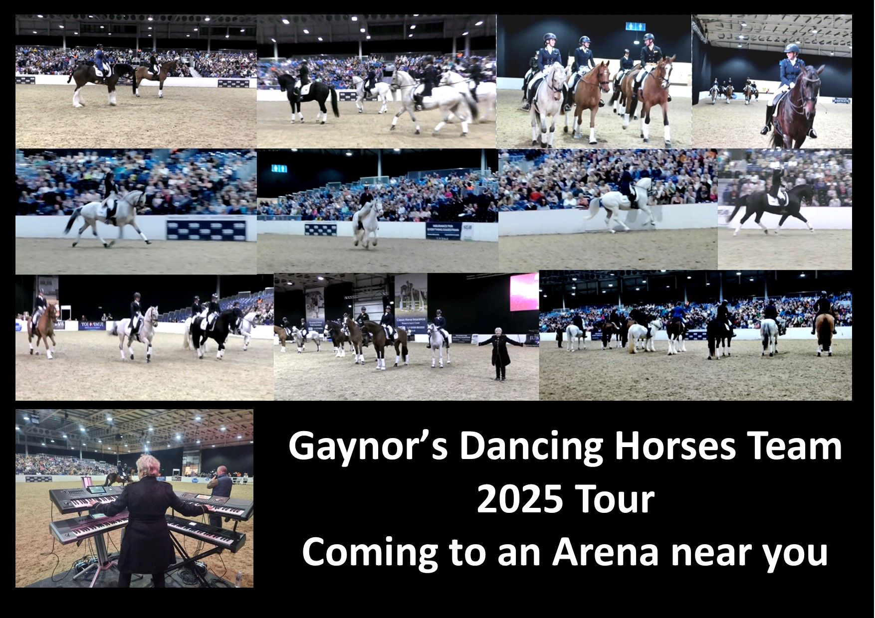 Gaynors Dancing Horses Tour