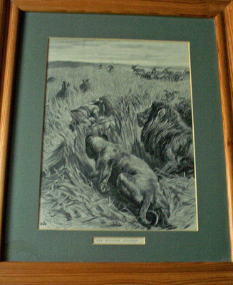 THE STALKER STALKED, ETCHING BY JAMES CLARK, FROM THE GRAPHIC JULY 20 1895