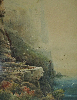 Puffins at Bempton Cliffs, signed Frederick William Booty, 1917. SOLD.