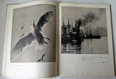 A Book of Praise, Photographs by Harold Burdekin, First Edition, 1948.