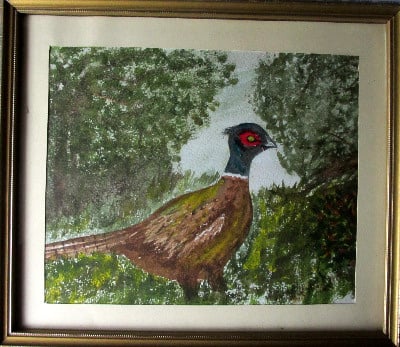 The Pheasant, watercolour on paper, unsigned. c1980.
