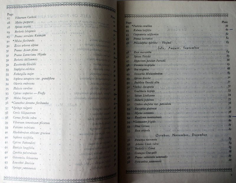 Trees and Shrubs throughout the year by Blanche Henrey & W.J. Bean. 1944. 1st Edition.