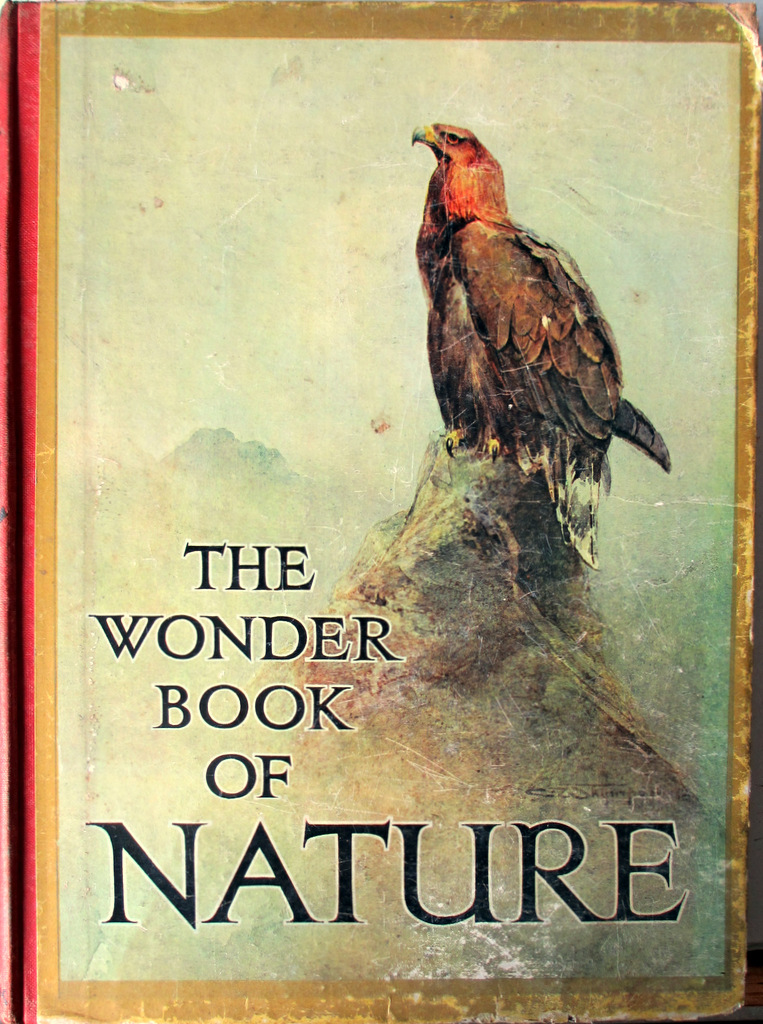 The Wonder Book Of Nature For Boys And Girls Edited By