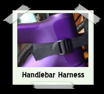 harness6