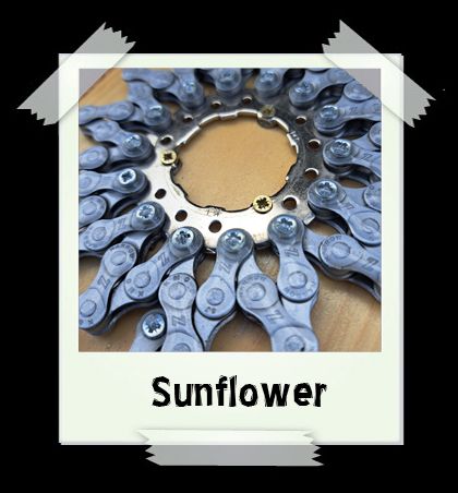 natural_sunflower2