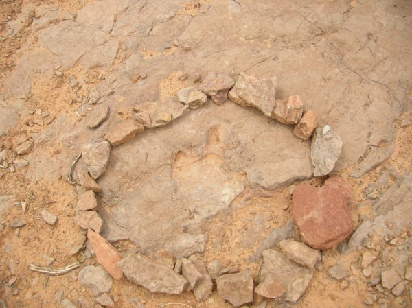 dinosaur_footprint