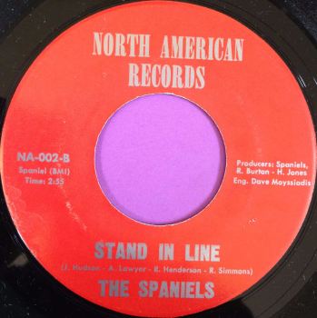 Spaniels-Stand in line-North American M- 
