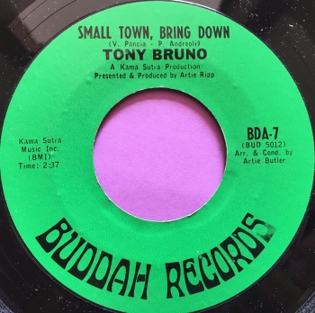 Tony Bruno-Small town bring down-Buddah E+