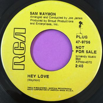Sam Waymon-Hey love-RCA Demo E+
