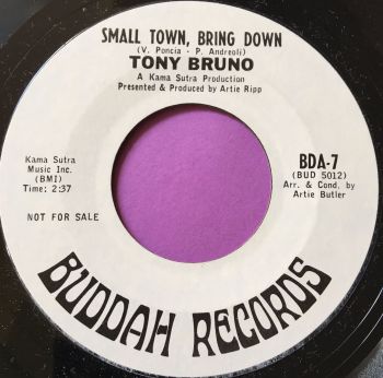Tony Bruno-Small town bring down-Buddah WD E+