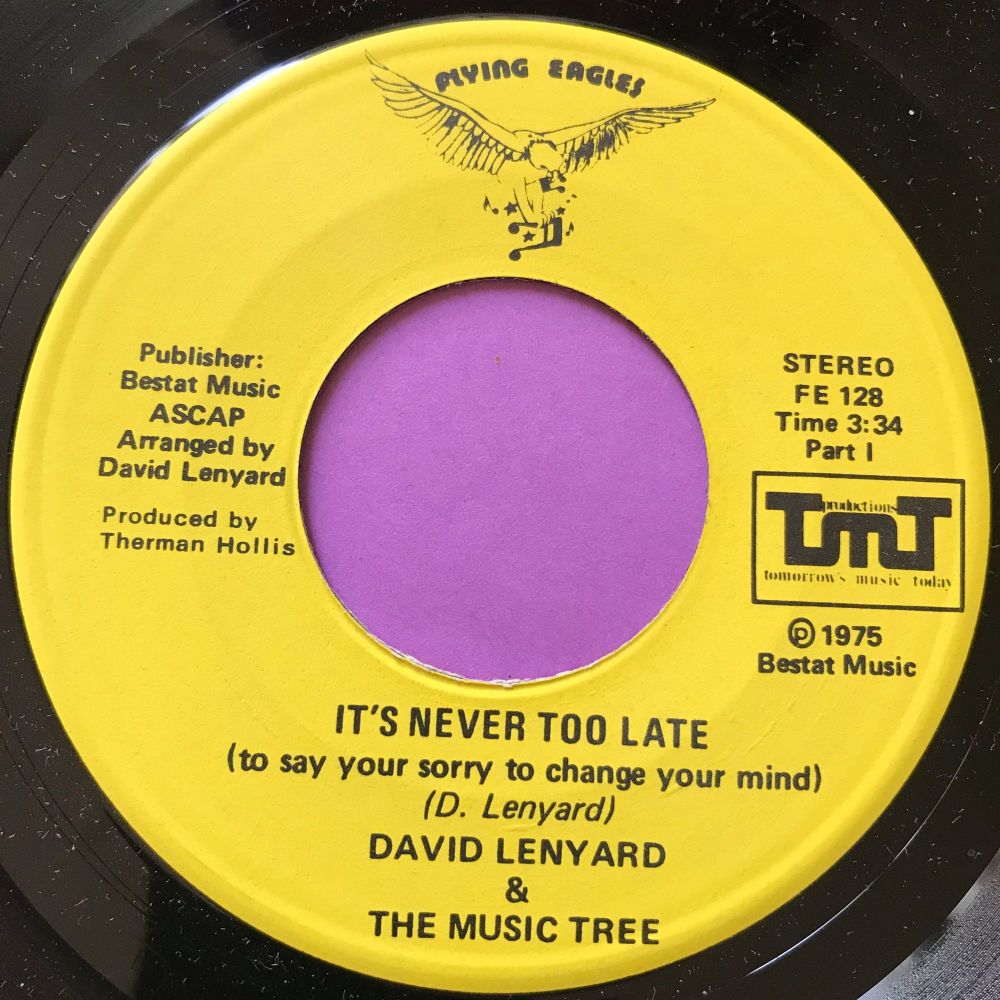 David Lenyard-It's never too late-Flying eagles M-