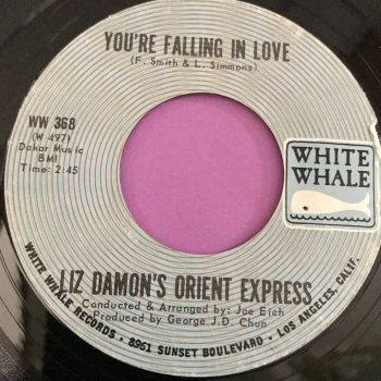 Liz Damon-You're falling in love-White whale E+