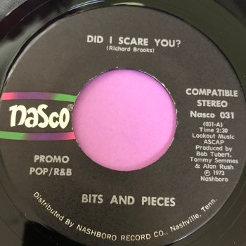 Bits and Pieces-Did I scare you-Nasco E+