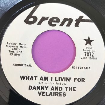 Danny and the Velaires-What am I livin' for-Brent WD E+