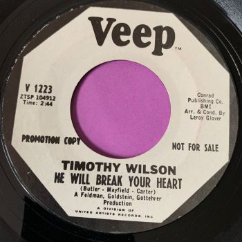 Timothy Wilson-He will break your heart-Veep WD E+