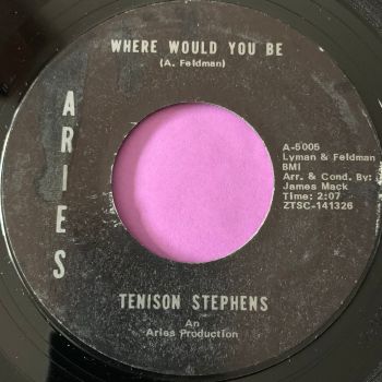 Tenison Stephens-Where would you be-Aries E+
