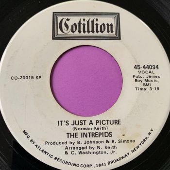 Intrepids-It's just a picture-Cotillion WD E