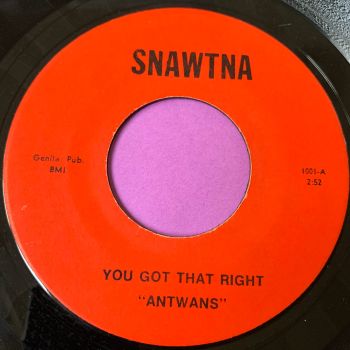 Antwans-You got that right-Snawtna E+