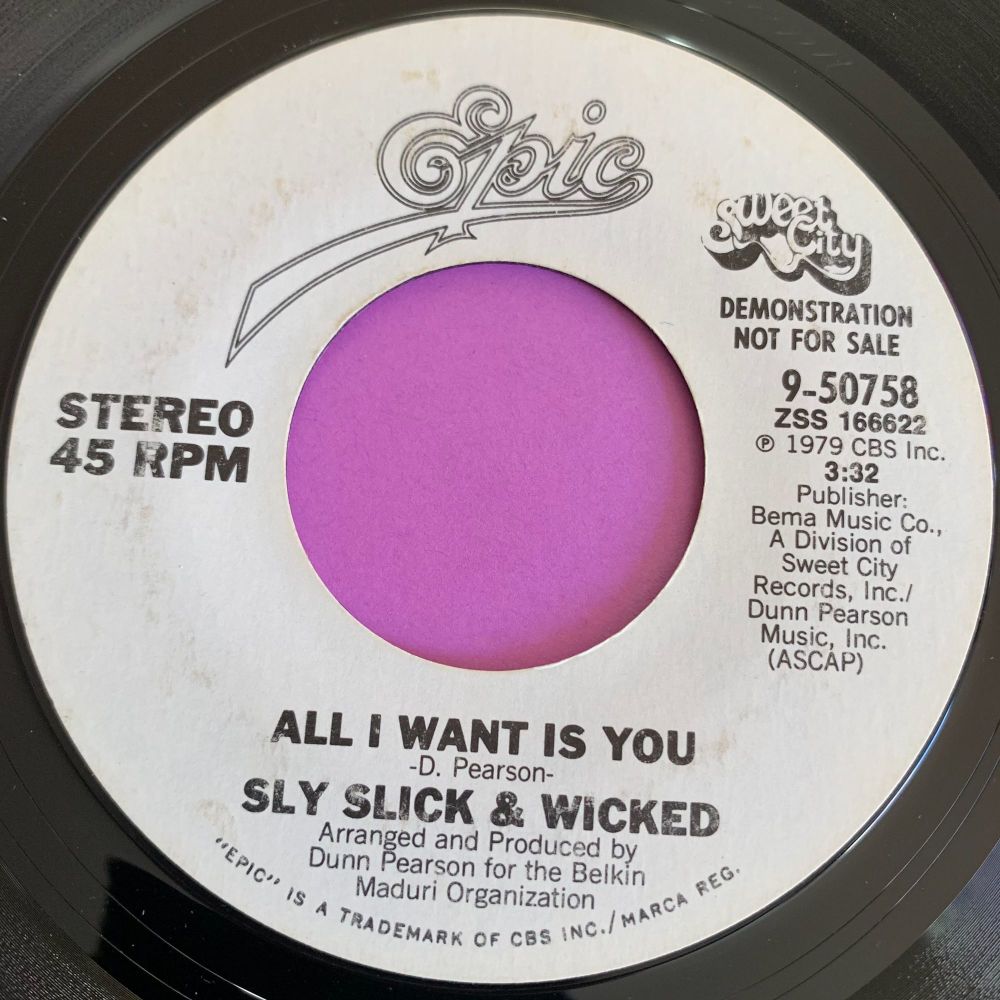 Sly Slick & Wicked-All I want is you-Epic WD E+