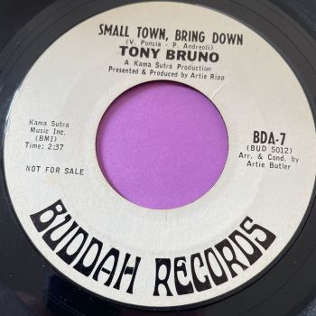 Tony Bruno-Small town, bring down-Buddah WD E+