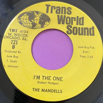 Mandells-I'm the one-Trans world E+