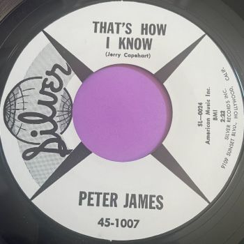 Peter James-That's how I know-Silver WD E+