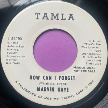 Marvin Gaye-How can I forget-Tamla WD E+