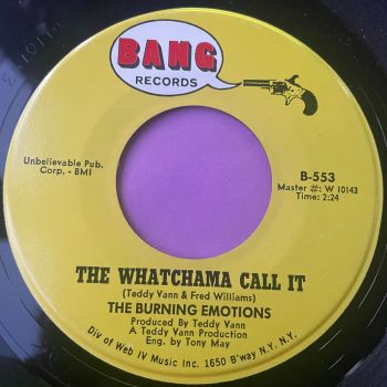Burning Emotions-The Whatchama call it-Bang E+