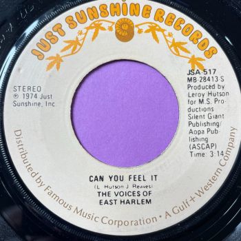 Voices of East Harlem-Can you feel it-Just Sunshine E