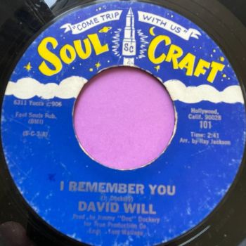 David Will-I remember you/ Loneliness-Soul Craft E