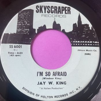 Jay W. King-I'm so afraid-Skyscraper E+